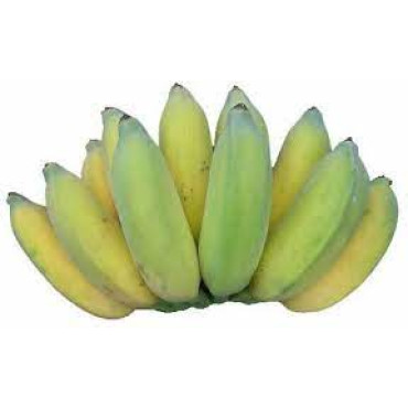 MONDAN BANANA