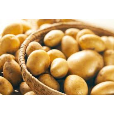 POTATO PAKISTAN