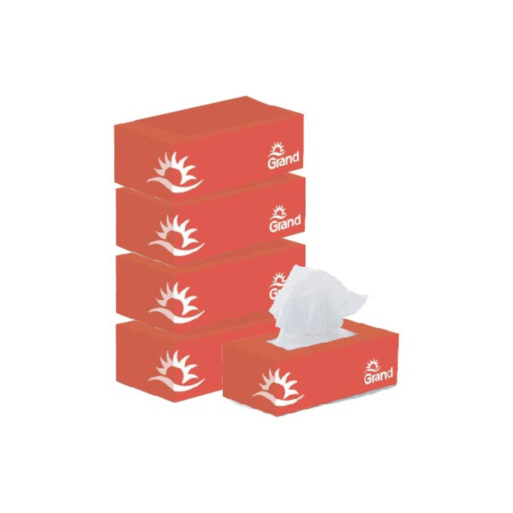 GRAND 2 PLY FACIAL TISSUES 6 X 150S 