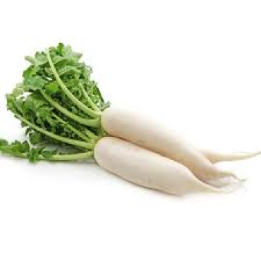WHITE RADISH PC