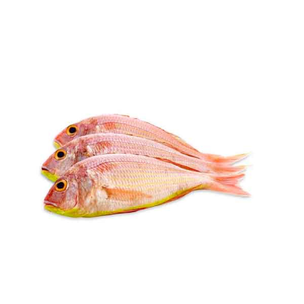 FRESH SULTAN IBRAHIM FISH - 1KG PKT