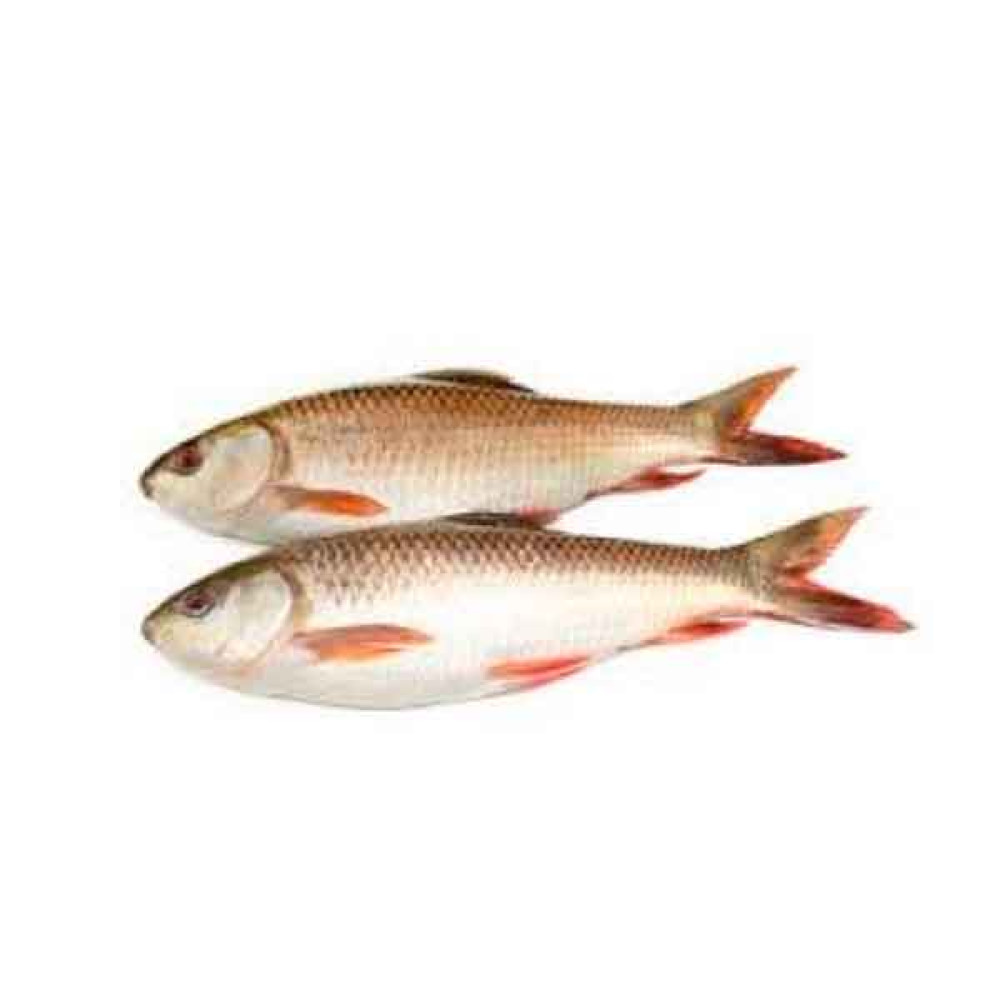 FRESH ROHU FISH  - 1KG PKT