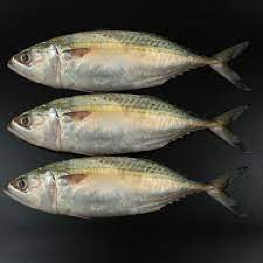 MULLEN BIG KUWAIT  1 KGS