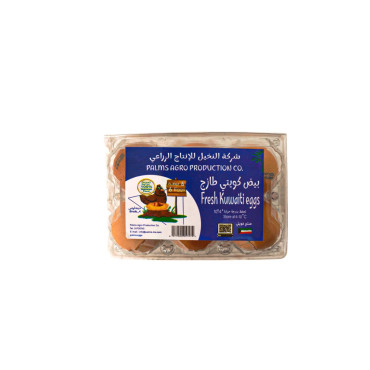 PALMS AGRO BROWN VEGAN EGG PLSTC TRAY 60/70 6