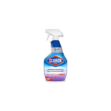 CLOROX MOLD AND MILDEW REMOVER 750ML