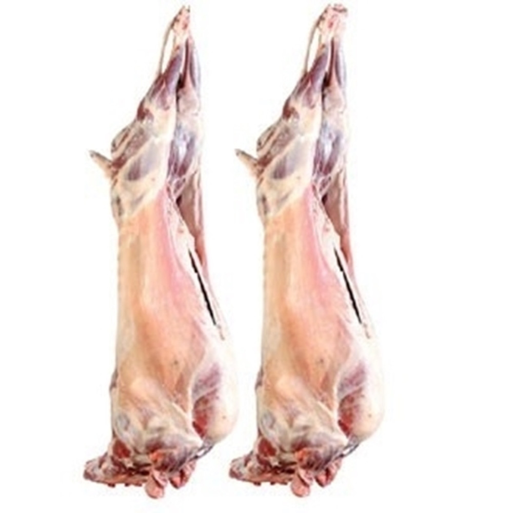 FRESH MUTTON - KUWAIT - 500GM (APPROX)