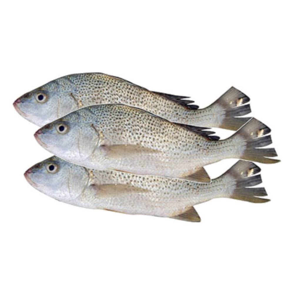 NAGROOR 2KG APPROX